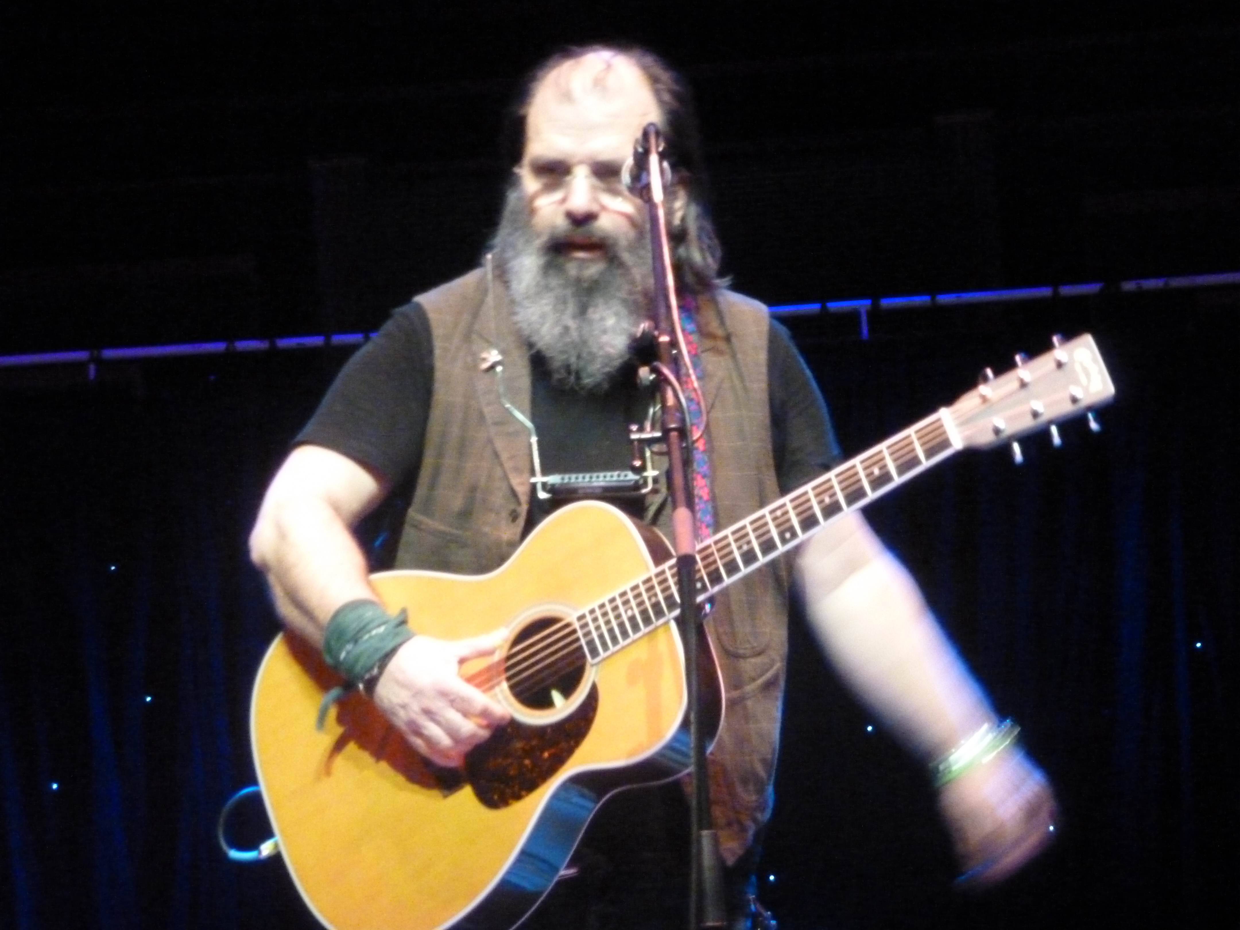 SteveEarle2014-08-27NationalConcertHallDublinIreland (12).JPG